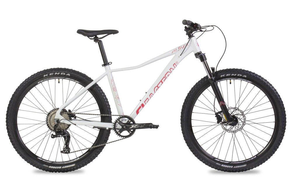 hardtail mountain bike with hydraulic brakes