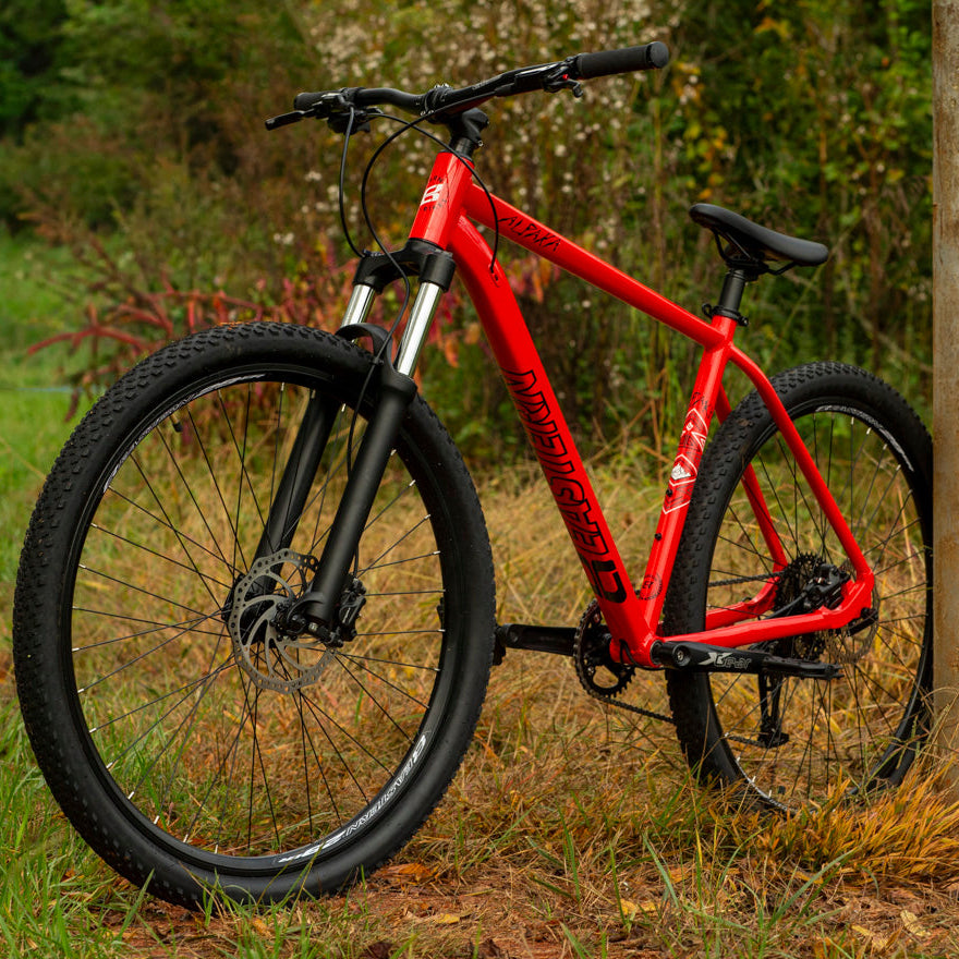 mountainbike red Alpaka 29" Hardtail Mountain Bike
