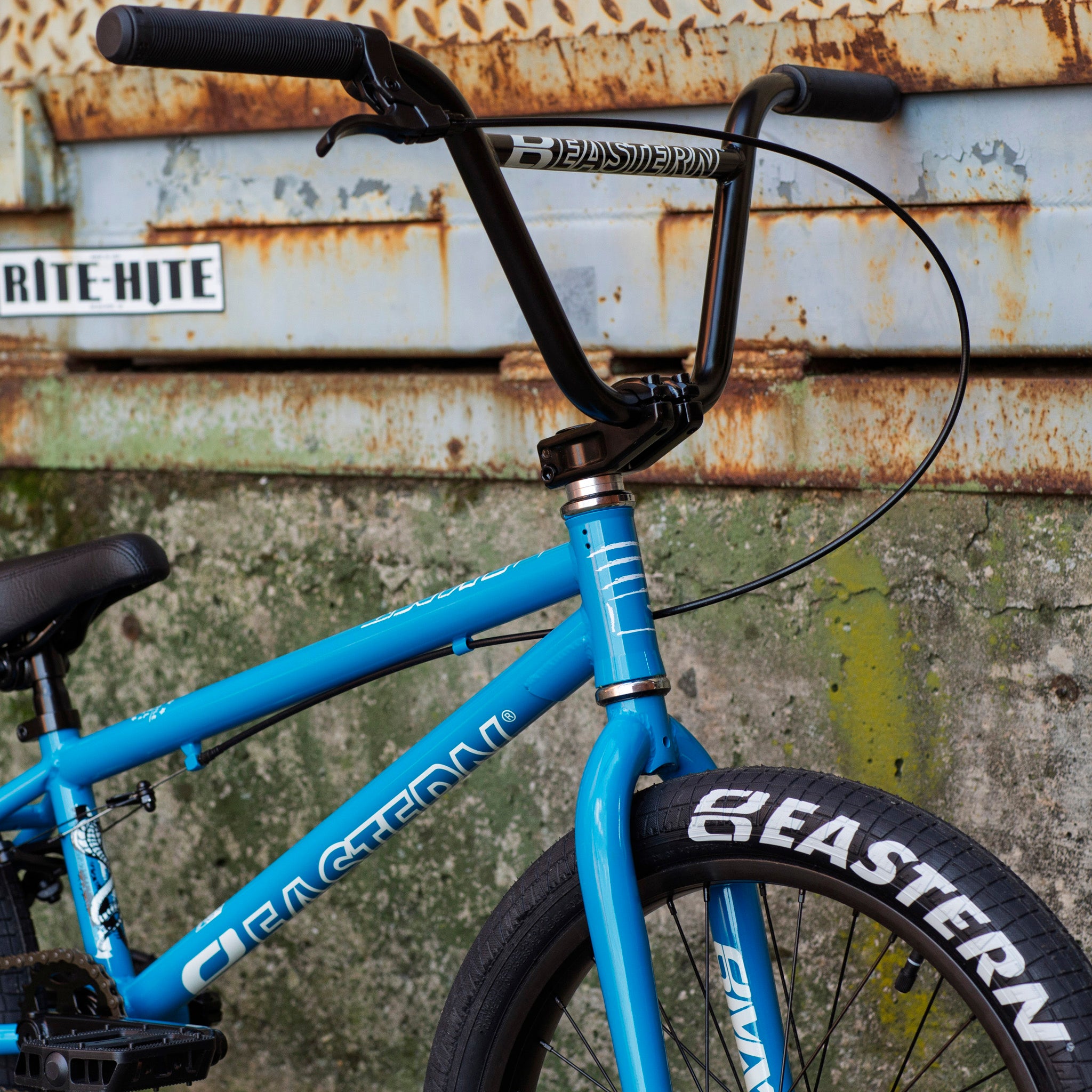 Eastern Cobra 20